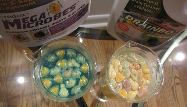 megamicrobes-drainbo1.jpg megamicrobes-drainbo1.jpg